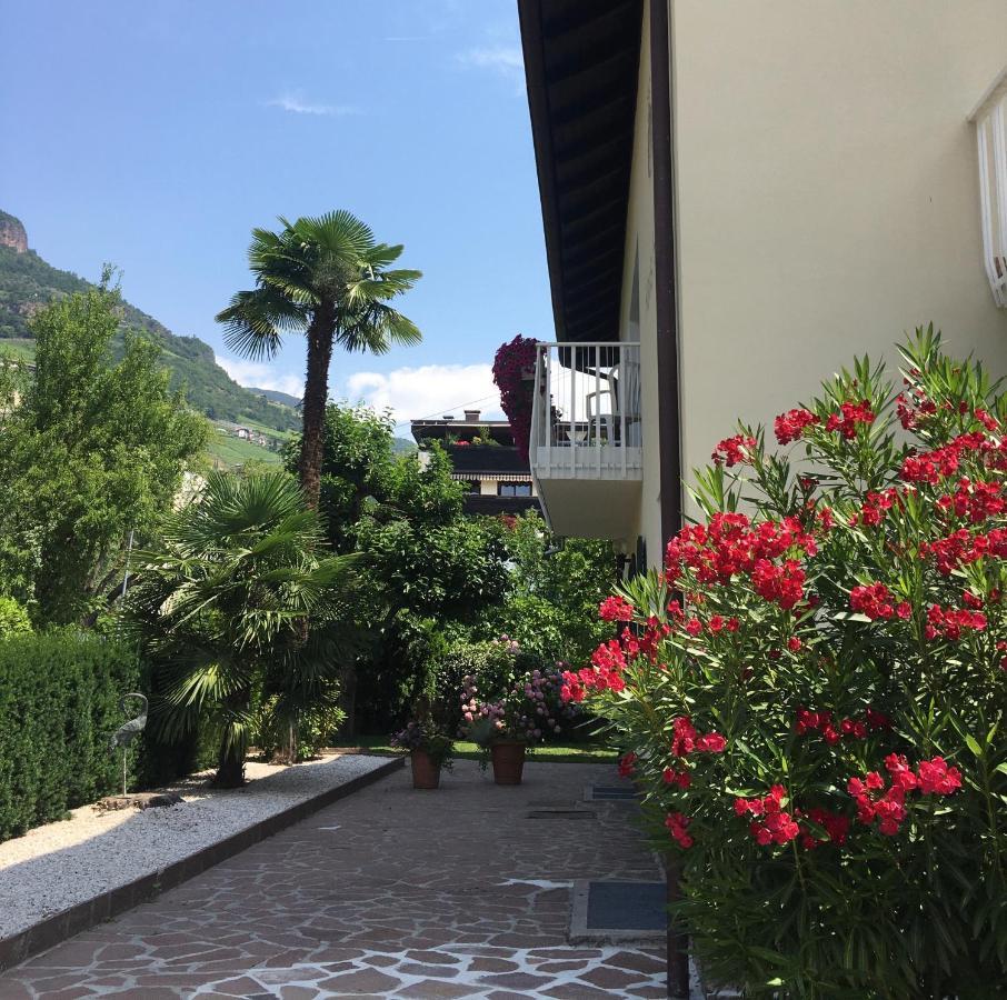 Apartment Villa Huber 博尔扎诺 外观 照片